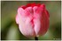 WEEKEND DU 06 - 07 AVRIL 2014