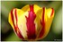 WEEKEND DU 06 - 07 AVRIL 2014