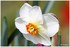 WEEKEND DU 06 - 07 AVRIL 2014