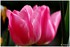 WEEKEND DU 06 - 07 AVRIL 2014