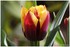 WEEKEND DU 06 - 07 AVRIL 2014