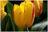 WEEKEND DU 06 - 07 AVRIL 2014