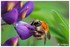 WEEKEND DU 1ER MAI 2014