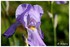 WEEKEND DU 1ER MAI 2014