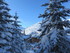 30 JANVIER AU 1ER FEVRIER 2015
