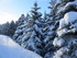 30 JANVIER AU 1ER FEVRIER 2015