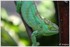 07 JUIN 2015 - PARC ZOOLOGIQUE