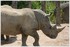 07 JUIN 2015 - PARC ZOOLOGIQUE