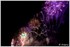 DU 11 JUILLET AU 1ER AOUT 2015