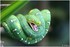 PARC ZOOLOGIQUE DE VINCENNES -