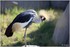 PARC ZOOLOGIQUE DE VINCENNES -