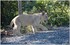 PARC ZOOLOGIQUE DE VINCENNES -