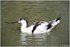 PARC ZOOLOGIQUE DE VINCENNES -