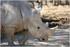 PARC ZOOLOGIQUE DE VINCENNES -
