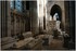 22 NOVEMBRE 2015 - BASILIQUE S