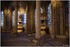 22 NOVEMBRE 2015 - BASILIQUE S
