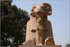 EGYPTE - DU 05 AU 12 MAI 2007