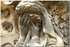 17 AVRIL 2016 - PERE LACHAISE