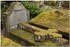 17 AVRIL 2016 - PERE LACHAISE