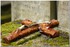 17 AVRIL 2016 - PERE LACHAISE