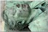 17 AVRIL 2016 - PERE LACHAISE