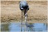 PARC ZOOLOGIQUE DE VINCENNES -