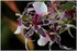 18 FEVRIER 2017 - EXPOSITION M