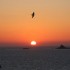28 au 01 JUIN - SEJOUR EN BRETAGNE