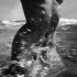 La femme selon Lucien Clergue.