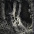 La  forêt de Gustave Doré de notre enfan