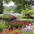 paysage fleurit