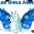 Les bleus ailes