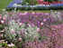 Jardins suspendus au Havre