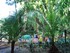 Le jardin Majorelle