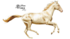 Chevaux 2