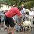 La Saint Roch - 15 août 2009