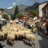 La Saint Roch - 15 août 2009