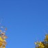 Les couleurs de l'automne.