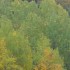 Les couleurs de l'automne.