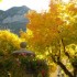 Les couleurs de l'automne.