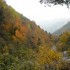 Les couleurs de l'automne.