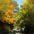 Les couleurs de l'automne.