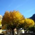 Les couleurs de l'automne.