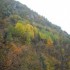 Les couleurs de l'automne.