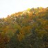 Les couleurs de l'automne.