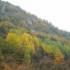 Les couleurs de l'automne.