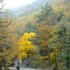 Les couleurs de l'automne.