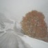 Neige un dimanche de novembre.