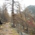 La Minière - Balade d'automne