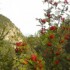 La Minière - Balade d'automne